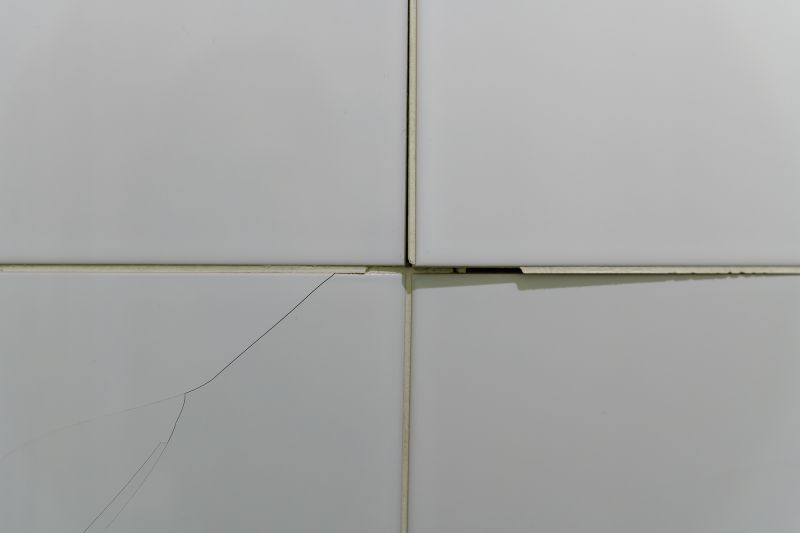 Specialized Tile Repair Experts
